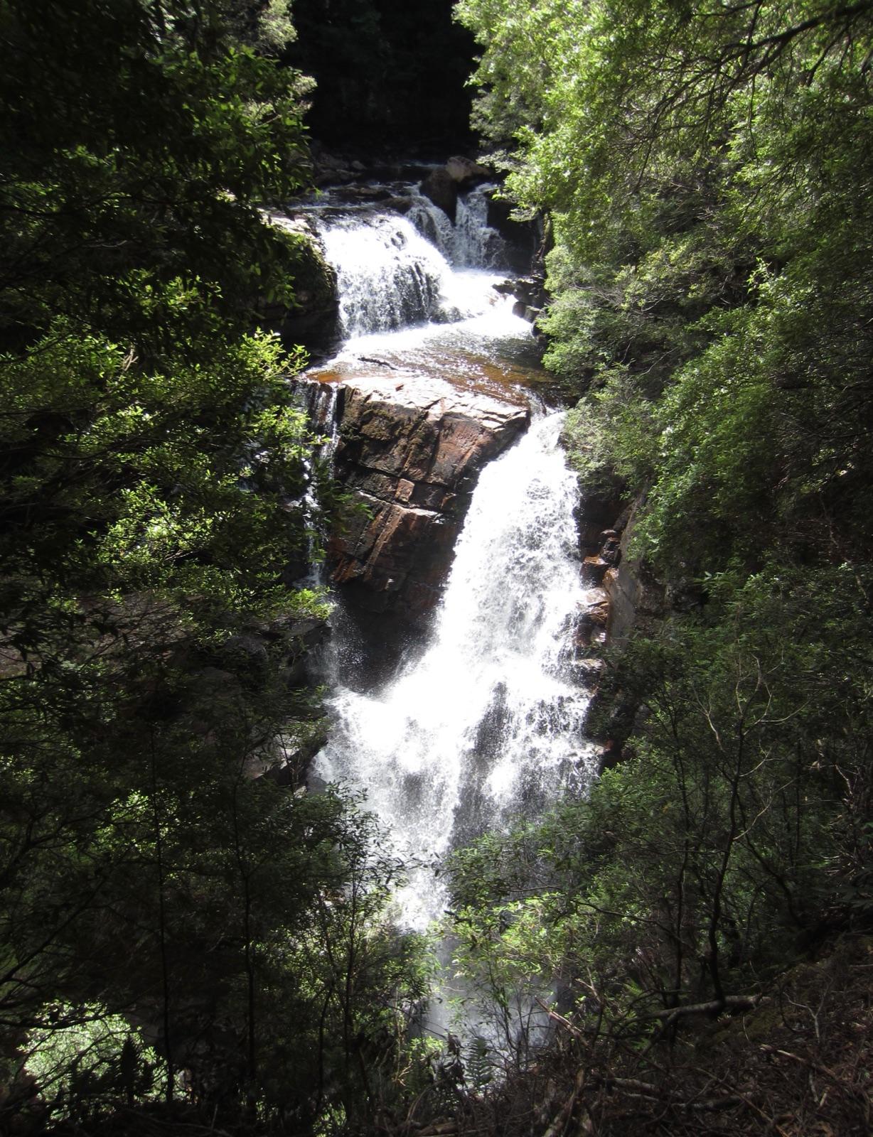 Waterfall and wet forest terrain along the Overland Track